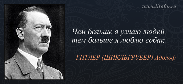 Любовь к животным: все хорошо в меру / slep-kostroma.ru